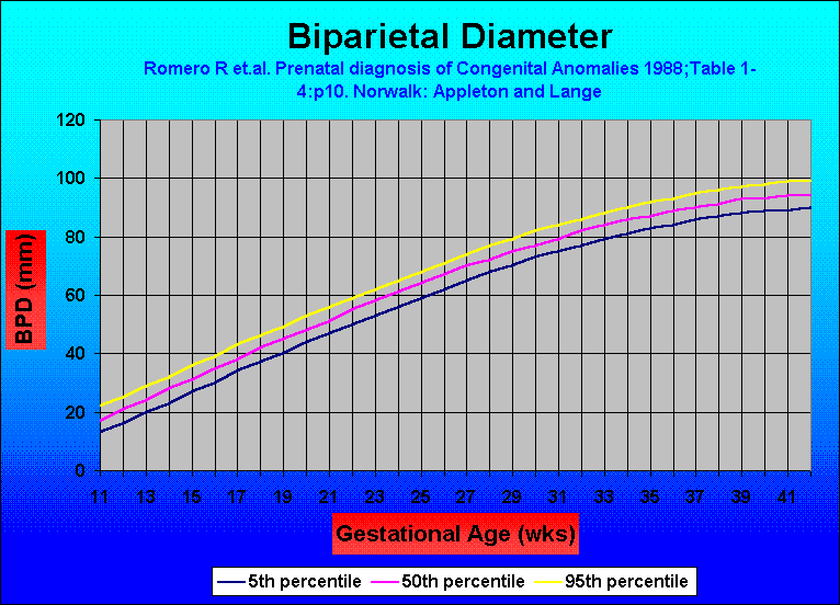 Normal Graphs